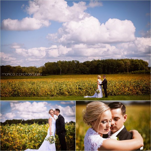 Lauren & Andy | Wedding Photographer | Pinola Grange Hall, Laporte IN